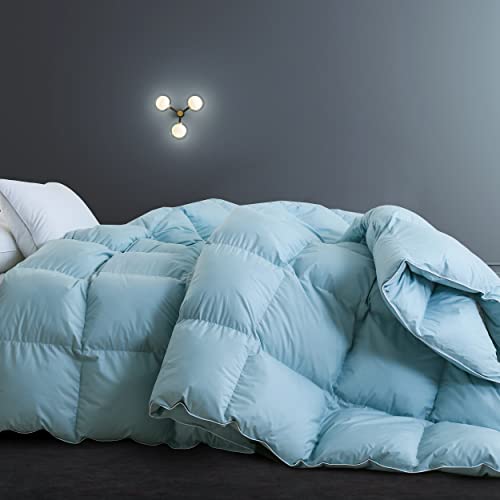 Snowman All-Season 75% Down Comforter Twin Size, Fluffy Duvet Insert With 8 Corner Tabs, Durable Down Proof Cotton Blended Fabric And 3D Baffle Box Construction (Blue, 68"X90") #TOP2