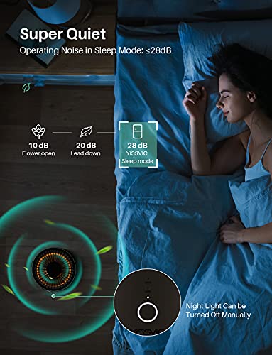 https://m.media-amazon.com/images/I/41FExCQeUfS._SL500_.jpg