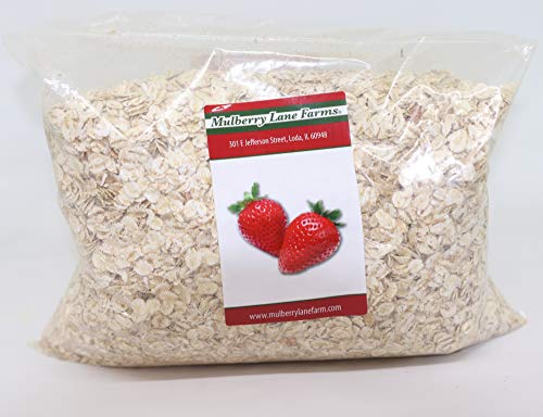 Rolled Barley Flakes 2 Pounds Non-GMO Bulk, Product of USA, Mulberry Lane Farms
