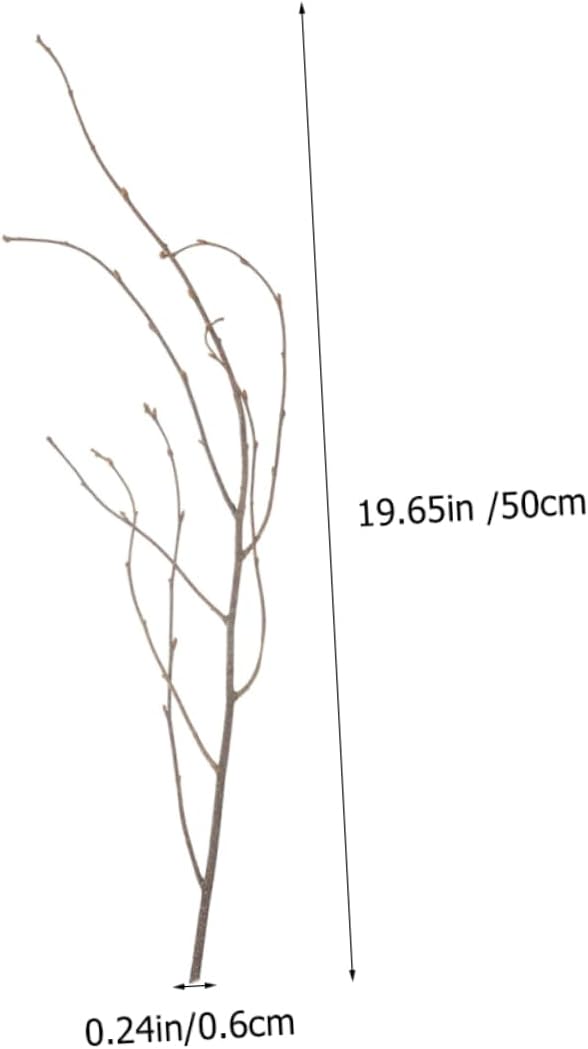 12Pcs Natural Dried Birch Branches for DIY Flower Arrangements Decor Twigs for Vases Home Office and Event Decoration Elegant Rustic Decor Elements