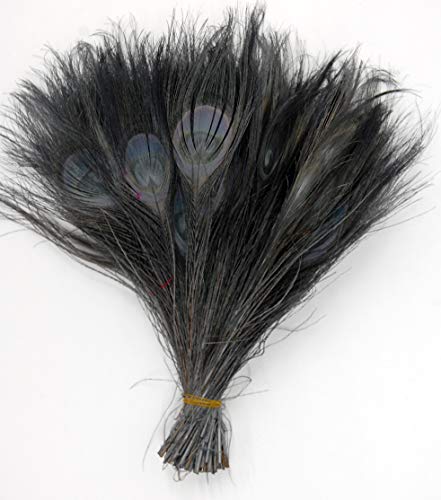 FEATHERSTORE.COM 25 Pcs Peacock Feathers 10