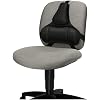 Fellowes Professional Series Back Support, Black (8037601) (Pack of 2)