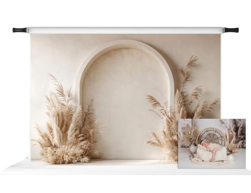 Fond mural beige herbe de la pampa pour séance photo enceinte