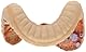 3B Scientific Menschliche Anatomie - Pathologisches Darmmodell (Dick- und Enddarm) + kostenlose Anatomie App - 3B Smart Anatomy, K55