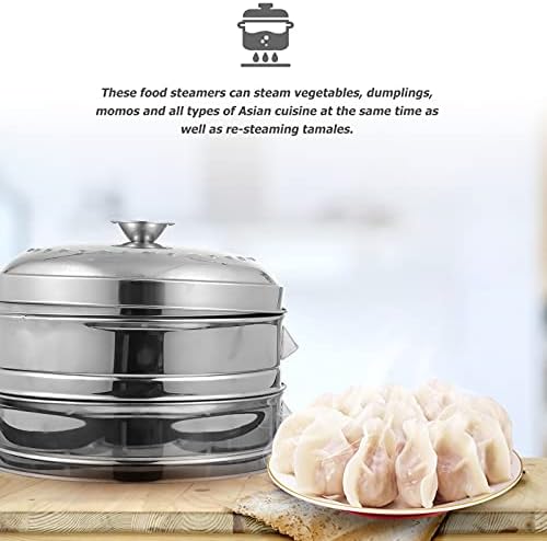 Cabilock 2 Tier Stainless Steel Steaming Pot 26CM Metal Steamer Basket with Lid Food Veg Cooker Pot Cooking Pan Dim Sum Cookware for Meat Dumpling