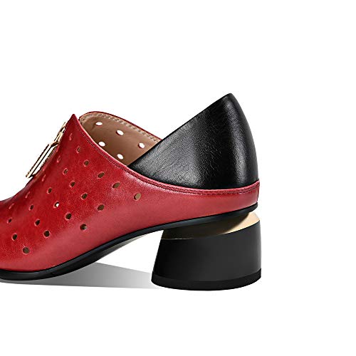 Tinacus Women's Genuine Leather With Breathable Holes Handmade Front Zipper Low Chunky Heel Stylish Pumps Shoes(Red, Us9) #TOP3