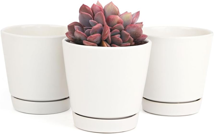 Pack of 3, 4 inch White Minimalist Ceramic Planter for Indoor & Outdoor, Succulent Flower Pot with Drainage Hole and Saucer, Full Glazed Finish, Modern Decorative for Home Office