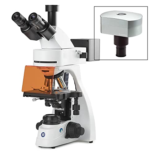 Image of bScope Trinocular Compound Microscope LED Fluorescence HWF 10x /22mm Eyepieces Quintuple Nosepiece Plan Fluarex PLFI 4 /10 /S40 /S100x Oil Infinity Corrected Objectives Digital Camera Globe | Euromex
