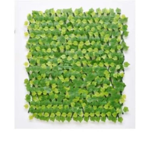 TYVAYAGE tFCNO[ tFX Lk ԃK[ftFX [_ lHAtFX ډB O뉀 [sAi]