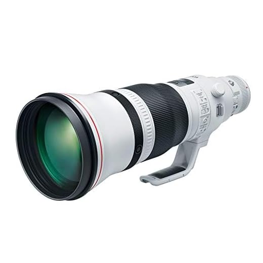 Canon EF 600mm f/4L IS III USM Lens