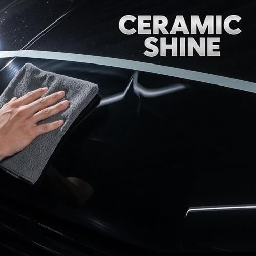 Image of Waxpol Silky Touch Car & Bike Spray Polish 100ml(Set of 72) | Instant Shine & Paint Protection | Hydrophobic High Gloss, UV Protection, Quick 10 Min Application
