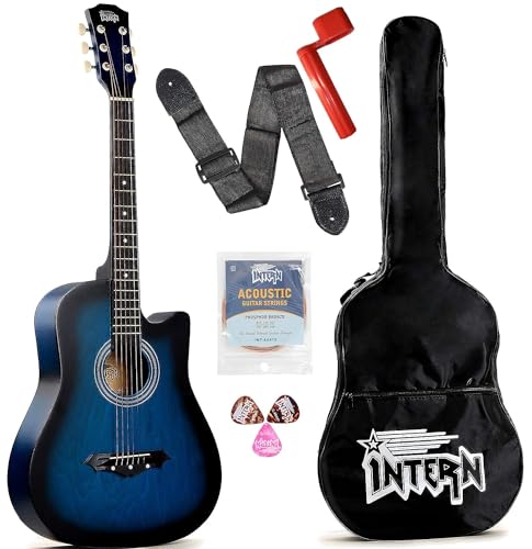 Image of Intern 38 Inch Acoustic Guitar for Beginners with Bag, Strap, Strings, Picks & Winder | Cutaway Design | Steel String Guitar for Kids & Adults. (Blue)