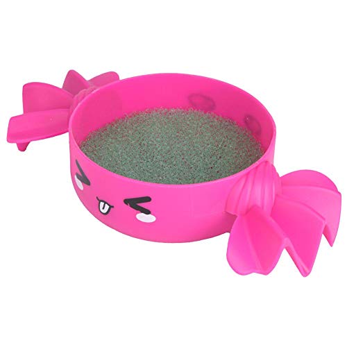 Kit de jardim de sementes não tóxico, prato de cultivo de sementes, amigos simples para casa