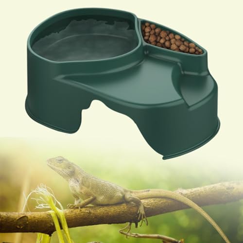 Baoblaze Caixa de couro de réptil Caixa de couro de Decoração Gaiola prática Acessórios Gecko Hideou