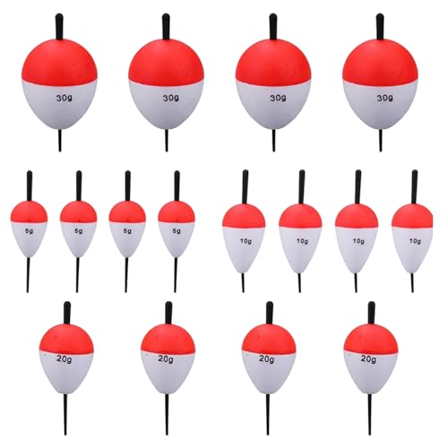 Galleggiante Pesca,Pesca Galleggianti E Bobber,5g 10g 20g 30g,Adatto per gli appassionati di pesca