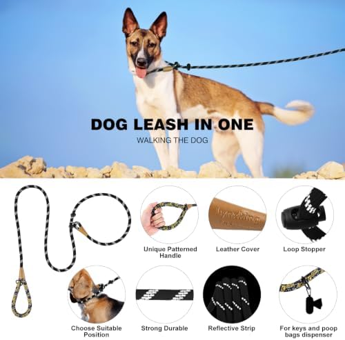 lynxking Slip Lead Dog Leash Reflective - 1