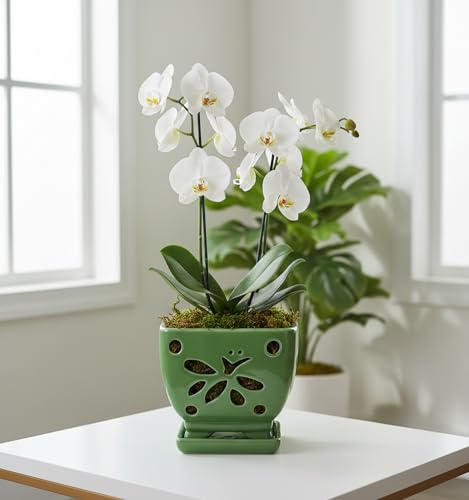 Orchid Pots with Holes Ceramic Orchid Planter Pots Square 5.5 inch (Green)