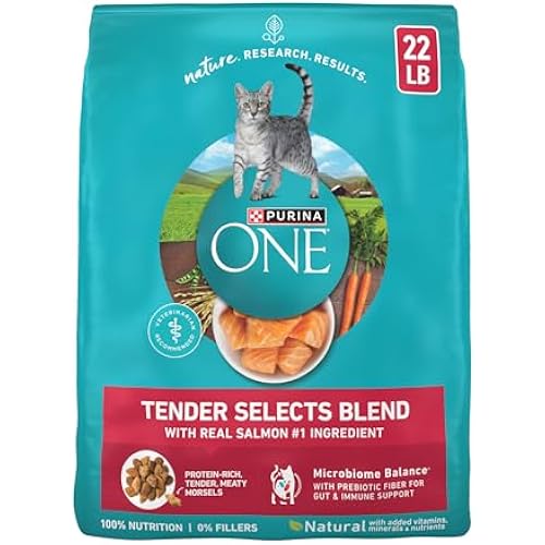 Purina ONE Natural Dry Cat Food, Tender Selects Blend with Real Salmon - 22 lb. Bag
