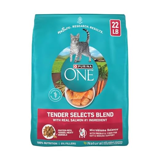 Purina ONE Natural Dry Cat Food - Salmon