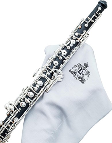 BG A62 BS Brass Instrument Cleaning and Care Product