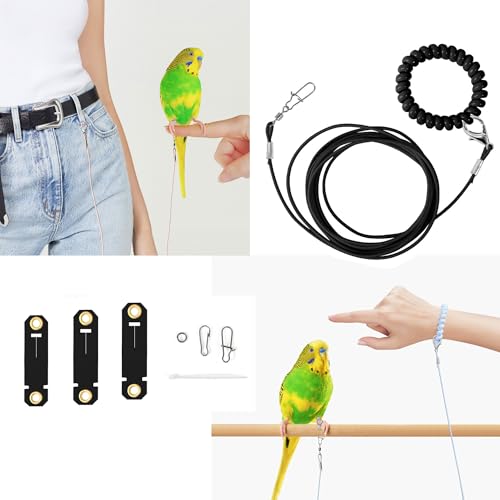 Hayaww 3 m Haustier Papagei Vogel Geschirr und Leine Vogelleine Papageiengeschirr Leine Haustier Vogel Fußkettchen Papageien Stand Fußkettchen Papagei Fliegen Seil (A)