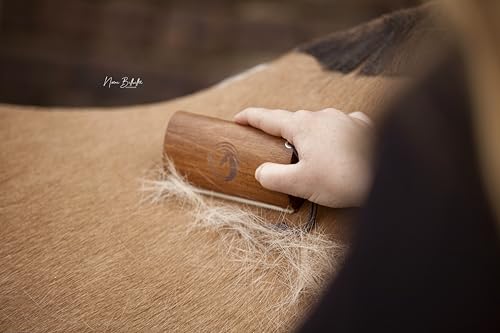 Equimour Fellwechselhelfer – Striegel für Fellwechsel & Haarentfernung | Sanft zum Pferd & Hund | Effizient gegen lose Haare & Unterwolle | Ideal für empfindliche Tiere | 100% Naturholz