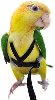 Pawzone Bird Harness for Bigger Birds