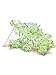Gardener's Supply Company Large Cucumber Trellis
