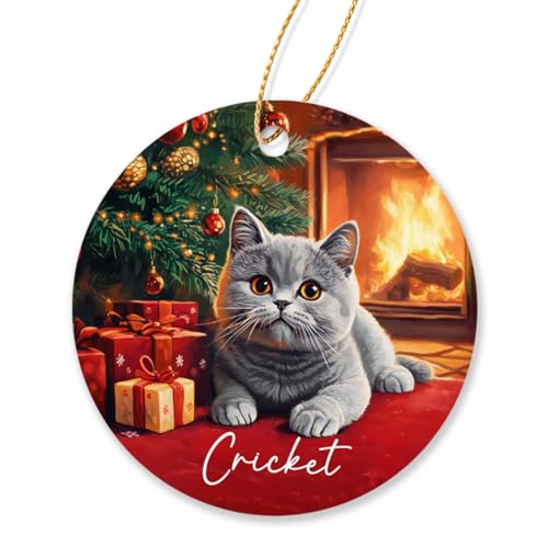Personalized British Shorthair Cat Ornament Gifts for Cat Owners, British Shorthair Cat Xmas 2025 Ornament, Custom Name British Shorthair Cat in Front of Fireplace Ornaments, Cat Gifts for Cat Lovers