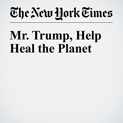 Mr. Trump, Help Heal the Planet cover art