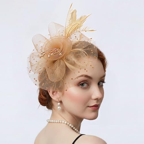 Image of DRESHOW Fascinators Hat Flower Mesh Ribbons Feathers on a Headband and a Clip Tea Party Headwear for Girls and Women