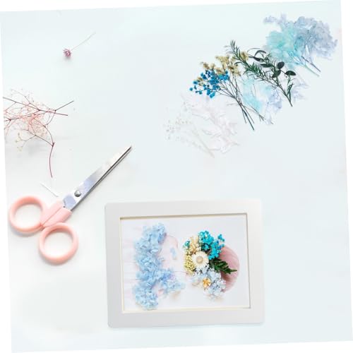 Kit de Flores Secas Prensadas Natural para Manualidades miniatura 5