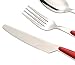EXZACT Cutlery Set of 24, Stainless Steel with Color Handles - 6 Forks, 6 Dinner Knives, 6 Dinner Spoons, 6 Teaspoons - EX07 (Red x 24)