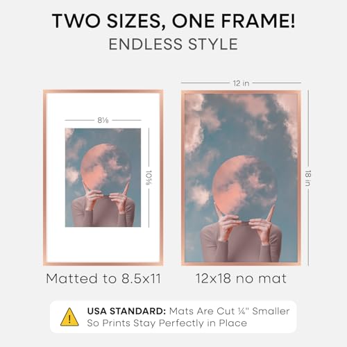 Image of Homeforia 12x18 Rose Picture Frame, High-End Metal, 8.5x11 Mat, Glass | High End Aluminum, Tempered Glass, Acid-Free 8.5x11 Removable Mat, 12x18 in Edge-to-Edge Display 18x12, Wall Kit, Set Of 1