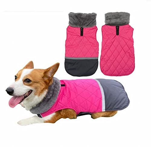 SYSPYF  ~fBAƃ[W̌̕HƓ~̃fS[fgo[R[M[ybg̕傫Ȗє̋ ʒphŒgȂ̃R[ǧ̕-XXL