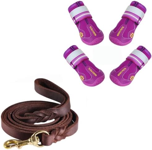 QUMY Dog Shoes Purple Size 6 and Leather Dog Leash