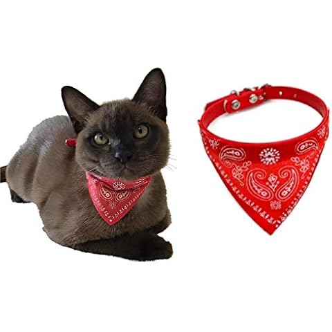 Collier WOO Lando pour Chien Cover