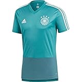 V-Kragen adidas Herren DFB Trikot, EQT Green/Real Teal/White, L
