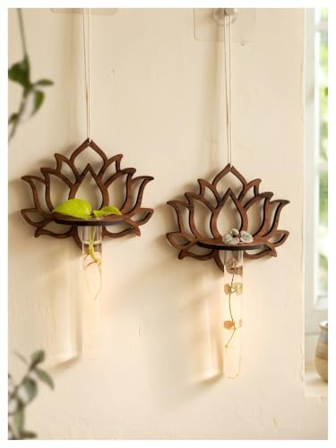 Image of Bombay Greens ; Sow, grow, eat, repeat Hanging Lotus Planter with Wooden Holder & Rope | Test Tube Hanging Planter | Wooden Stand for Home Decor, Living Room, Balcony & Office Decoration - Pack of 2
