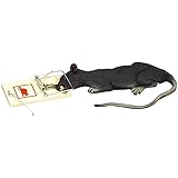 Forum Novelties Wiggling Rat in Trap (Battery Operated)