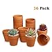 Terracotta Pots