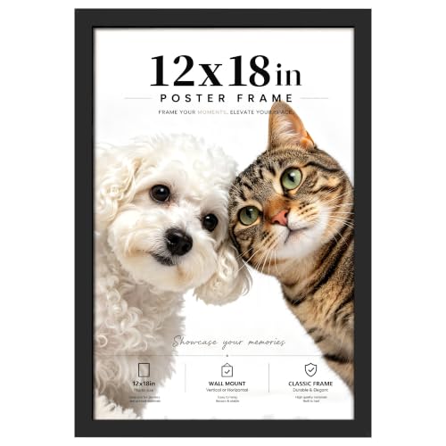 PEALSN 12x18 Picture Frame Black Poster Frame for Wall Mounting Display Horizontally or Vertically Hanging 1 Pack