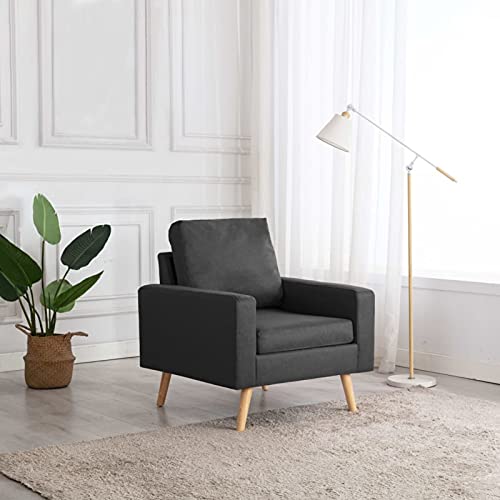 Cinyiqo Sillón, Butaca, Sillon Orejero, Sillon Lactancia, Sillones para Personas Mayores, Butacas De Cine, Sillon Salon, de Tela Gris Oscuro