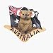 Aimant de réfrigérateur en forme de koala d'Australie - Souvenir de voyage pour la maison et la cuisine