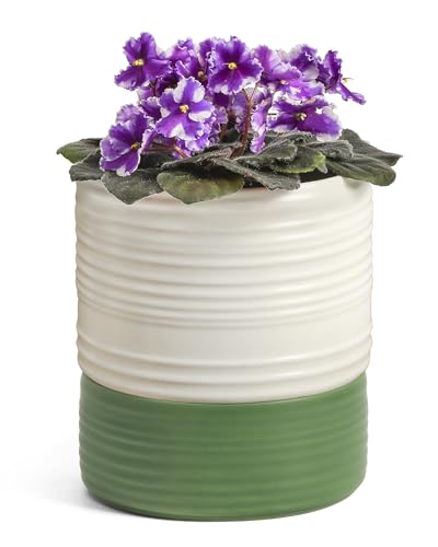 Fayoula Self Watering Pots for Indoor Plants, 6 Inch Ceramic Self Watering Plant Pot, Planter Pot with Wick Rope and Drainage Hole for African Violet Succulent Herbs (White Matte)