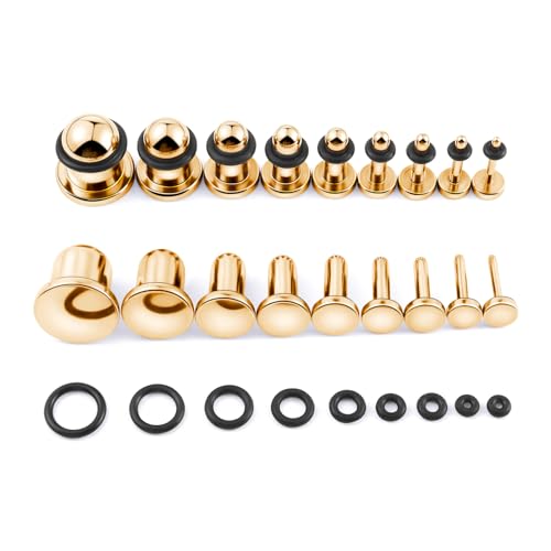 Longbeauty 18PCS Ear Stretching Kit 14G-00G Surgical Steel Ear Gauge Plugs
