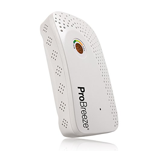 The 30 Best Battery Operated Dehumidifiers of 2024 [Verified] Cherry