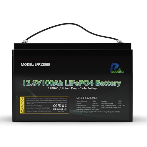 Rscolila 12V 100Ah LiFePO4 Battery, Built-in 100A BMS Rechargeable Lithium Battery, 5000-15000 Cycles, 1280Wh Lithium Battery for Trailer RV, Boats, Solar System, Trolling Motors, Energy Storage