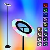 🎁 【Resistente y Fácil de Montar】 Adoptando una base estable y postes de metal, esta lámpara de pie es estable y no se volcará fácilmente. Incluso en una fiesta, no tienes que preocuparte de que se caiga. El montaje es muy sencillo sin necesidad de herramientas o piezas adicionales.