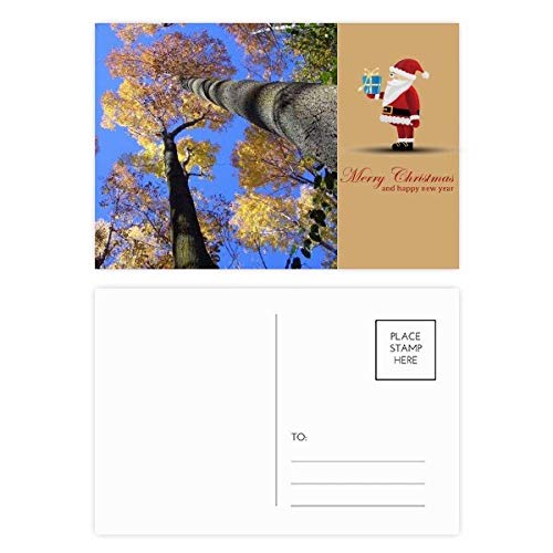 Cartes postales Père Noël lot 20 correspondance correspondance nature paysage forêt automne